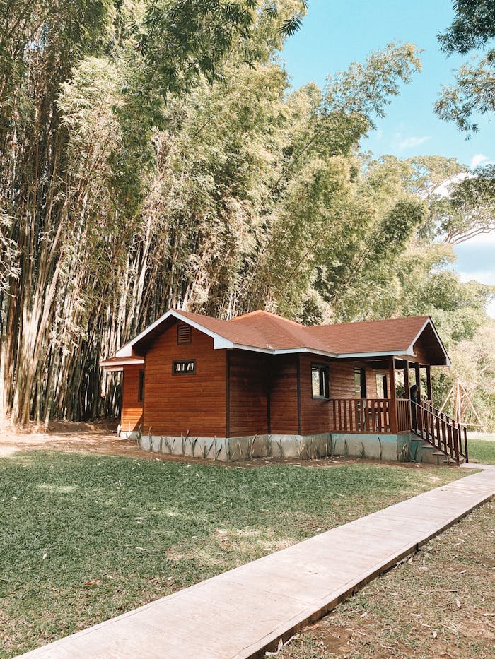 Wooden House Near Bamboo Trees