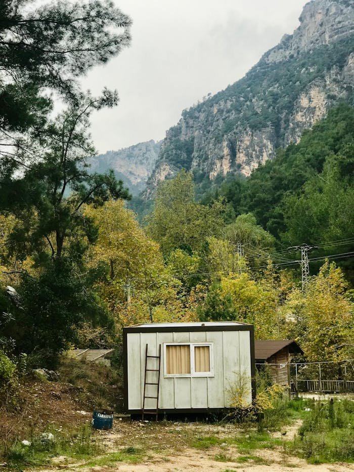 Cabin in Mountains Landscape