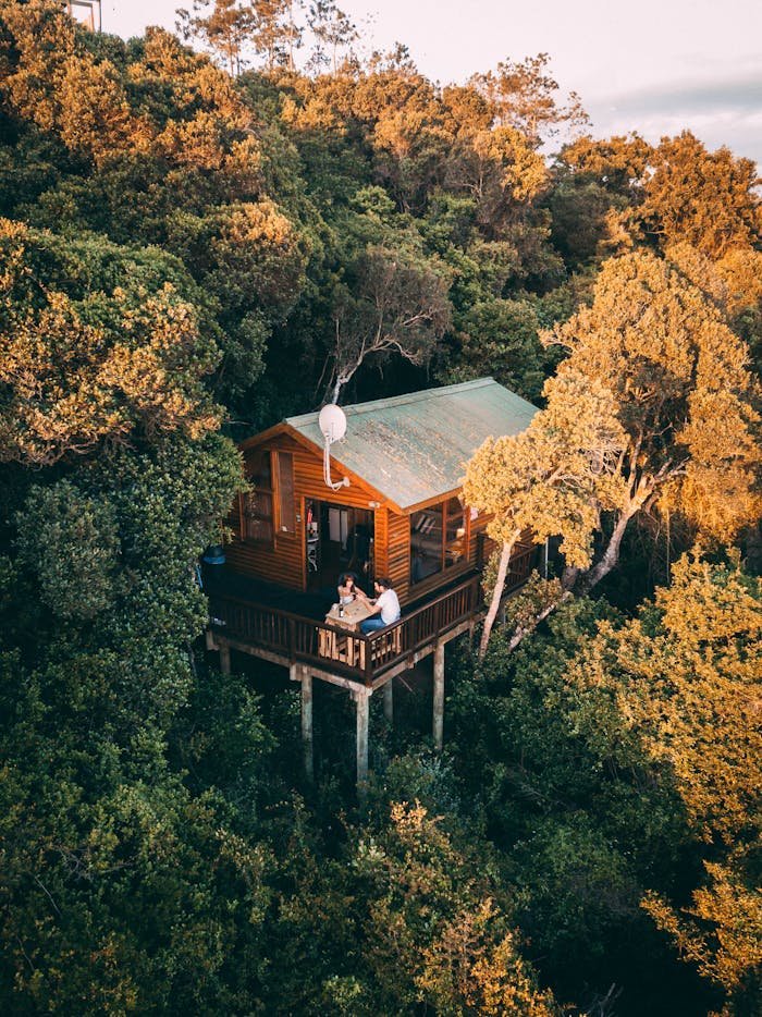 Brown Wooden House Surrounded By Trees