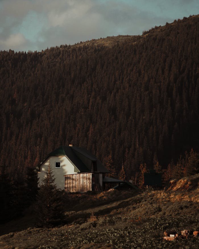 White and Brown Wooden House Near Trees in the Mountain