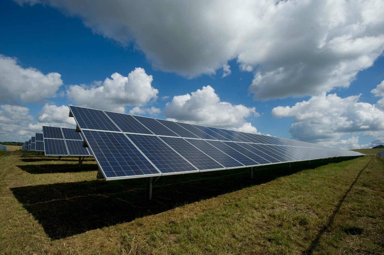 solar panels on green field